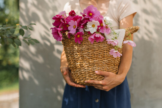 Close-up of a young woman standing outdoors holding a wicker basket of assorted cosmos flowers on a sunny day