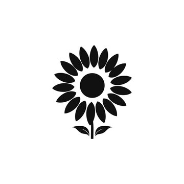 sunflower vector silhouette