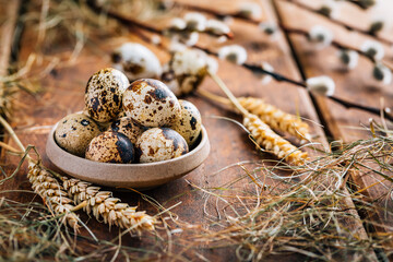Obraz premium Easter Quail eggs with pussy willow branch, Easter and spring concept