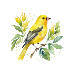 Watercolor illustration of Canary sitting on branch