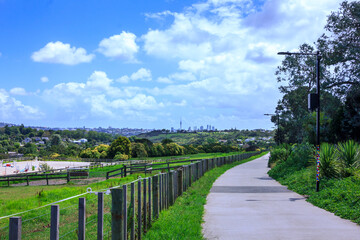 Concrete shared path curving along paddocks towards Orakei Basin. Auckand CBD skyline visible in...