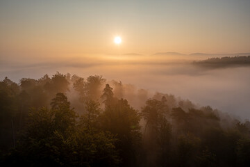 Sonnenaufgang &uuml;ber nebligem Wald