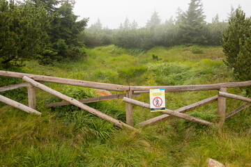 a fragment of the national park banned from entry to tourists and fenced with a wooden barrier made...