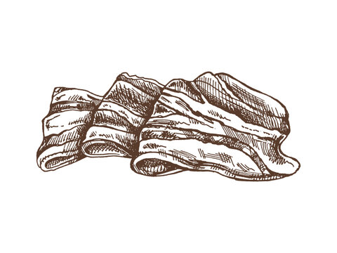 Hand-drawn vector sketch of bacon, hamon or pork meat, ham slice. Italian prosciutto vintage sketch. Butcher shop. Great for label, restaurant menu. Engraved image.