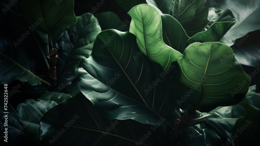 Poster hyper-realistic close-up images featuring the intricate details and striking foliage of the fiddle l