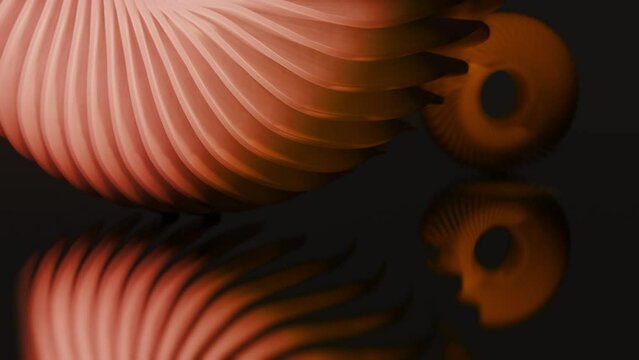 Seamless loop motion background 3d animation render of Abstract peach petals rotating. Smooth hypnotic pattern. Infinite ring rotation background. 4K Abstract intro animation or Logo reveal template