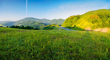grassy meadow of carpathian mountains in summer. beautiful panoramic countryside landscape of...