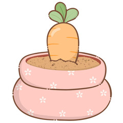 Carrots in a pot