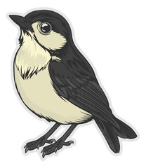 color silhouette of a bird without background