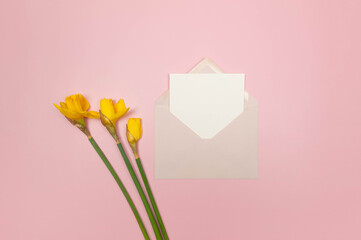 Top view of yellow daffodils, pink envelope and white card on pink background. Spring colourful composition, flat lay, copy space.
