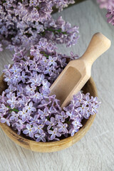 Wooden Bowl with wooden spoon of fresh purple lilac petals with branch of blooming lilac. Lilac flowers fragrance. Concept for spa wellness and aromatherapy. Copy space Still life composition