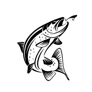 Vector sketch icons of fish of river or sea
