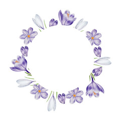 Watercolor frame, logo with white and purple blooming crocus flower isolated on white background. Spring and easter botanical hand painted template saffron illustration. For designers, wedding