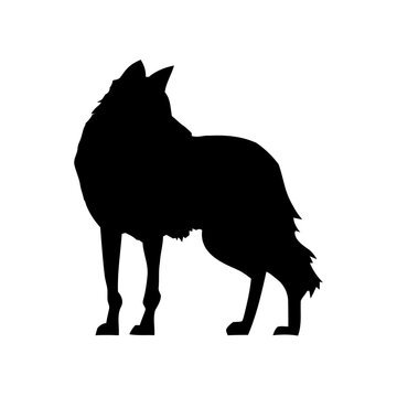 roaring wolf logo vector illustration