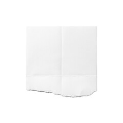 Torn Folded Paper