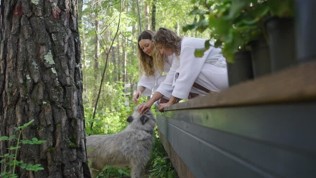 Two friends woman in cozy white bathrobes enjoy a gentle moment with a fluffy dog on a wooden deck, surrounded by the lush foliage of a forested area. The girls are stroking a local dog who came to