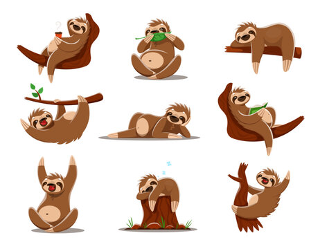 Cartoon sloth characters. Cute lazy animals vector personages hanging and climbing on rainforest jungle tree branches. Funny sloths eating leaves, drinking coffee, reading book and resting on stump