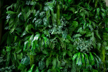 New wall decoration using artificial plants to make a wall of vertical plants. Gives a feeling of being close to nature and easy to take care of.