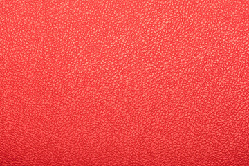 Close-up of red leather show detail and texture
