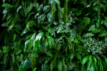 New wall decoration using artificial plants to make a wall of vertical plants. Gives a feeling of...
