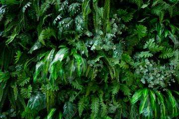 New wall decoration using artificial plants to make a wall of vertical plants. Gives a feeling of being close to nature and easy to take care of.