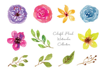 Colorful Flower and Leaf Watercolor Collection