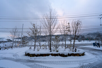 雪国の朝の風景