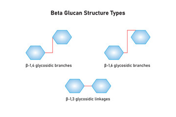 Types of Beta Glucan Molecule Structure Scientific Design. Vector Illustration.	