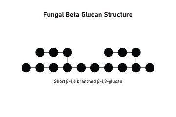 Fungal Beta Glucan Molecule Structure Scientific Design. Vector Illustration.	