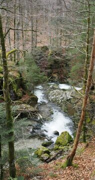 Rottach, kleiner Fluss Oberlauf den Suttensee, Almgebiet entlang der H&auml;nge von Wallberg und Blankenstein bis in Tegernseer Tal 
