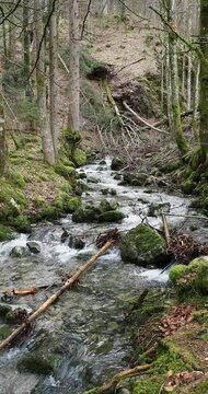 Rottach, kleiner Fluss Oberlauf den Suttensee, Almgebiet entlang der H&auml;nge von Wallberg und Blankenstein bis in Tegernseer Tal 
