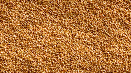 Seamless pattern with realistic quinoa. Cereal background