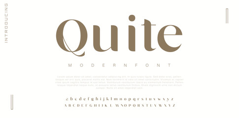 Quite Luxury alphabet letters font. Typography elegant wedding classic lettering serif fonts decorative vintage retro concept. vector illustration