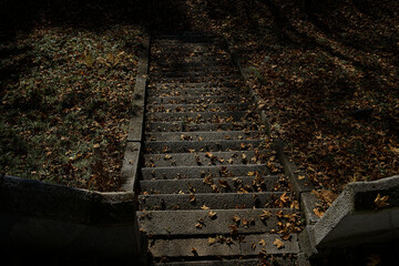 stone stairs covered with fallen leaves, top view