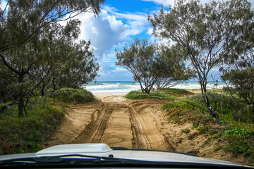 First person view of a driver travelling onboard a 4x4 pickup on a sand track in the rainforest of...