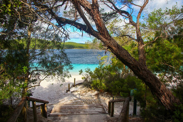 Fototapeta na wymiar Access path to Lake McKenzie (Boorangoora) on Fraser Island (K'gari), a perched lake of pure turquoise freshwater surrounded by pure white silica sand in Queensland, Australia