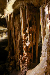 Speleothem in the Blanche Cave in the Naracoorte Caves National Park in South Australia