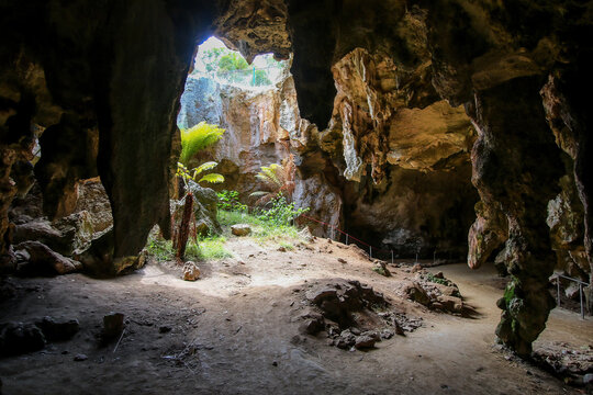 Sinkhole in the Stick-Tomato Cave in the Naracoorte Caves National Park in South Australia