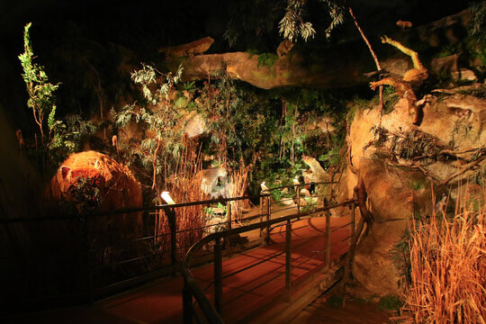Extinct animals exhibit in the Wonambi Fossil Centre in the Naracoorte Caves National Park in South Australia