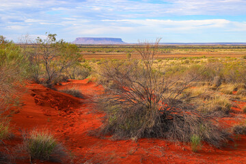 Mount Conner aka Fooluru in the desert plains of the Red Center of Australia in the Northern...