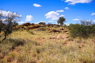 Bushy landscape in the Alice Springs Telegraph Station Historical Reserve in the Red Centre of Australia, connecting Darwin to Adelaide via the Overland Telegraph Line