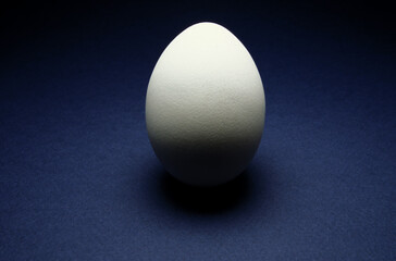 closeup of one single hen´s egg, chicken egg