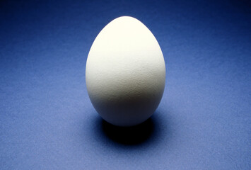 closeup of one single hen´s egg, chicken egg