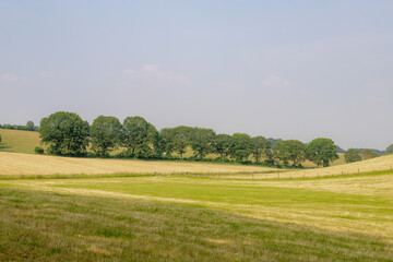 Fototapeta na wymiar Terrain of countryside with slope hills and green meadow, Summer landscape farmland and grass field under blue clear sky, Gelderland province, Occupying the centre-east of the country, Netherlands.
