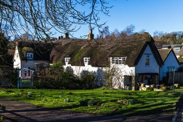 Fototapeta na wymiar Whitewashed thatched cottage