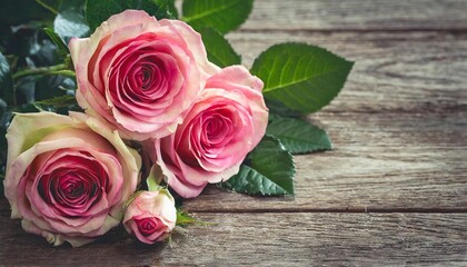 love in bloom valentine s day roses