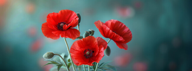 Bouquet of red poppies on a green background.
