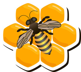 Illustration on theme for label of sugary flowing down honey in honeycomb with bee