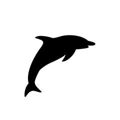 Dolphin silhouette