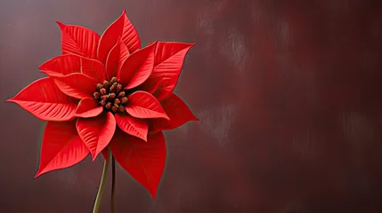 Foto op Plexiglas garland holiday flower © PikePicture